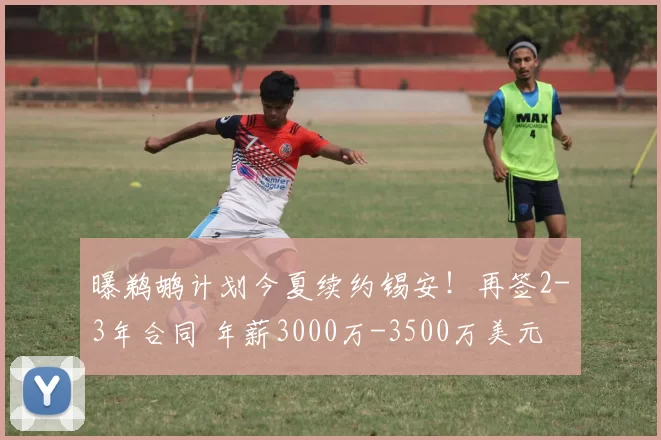 曝鹈鹕计划今夏续约锡安！再签2-3年合同 年薪3000万-3500万美元